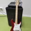 Fender Stratocaster Mexico ( Seymour Duncan SSL1 )