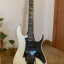 Golpeador HSH Ibanez RG