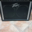 Peavey Renown 400