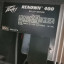 Peavey Renown 400