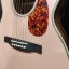 PRS P20e Lotus pink