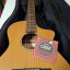 Breedlove Studio N250/CR Nylon