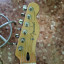 Telecaster Mex pickups custom shop