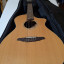 Breedlove Studio N250/CR Nylon