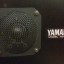 Yamaha NS-10M