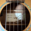 Breedlove Studio N250/CR Nylon