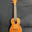 [RESERVADO] Ukelele Tanglewood Cove Creek TU9 Concierto