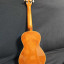 [RESERVADO] Ukelele Tanglewood Cove Creek TU9 Concierto