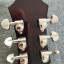 Epiphone 335 dot