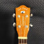[RESERVADO] Ukelele Tanglewood Cove Creek TU9 Concierto