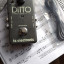 DITTO STEREO LOOPERX2