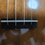[RESERVADO] Ukelele Tanglewood Cove Creek TU9 Concierto