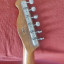 harley benton telecaster thinline te 69tl con Hot Rails (RESERVADA)