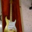 Fender Stratocaster Gold año 1982 Limited Edition