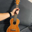 [RESERVADO] Ukelele Tanglewood Cove Creek TU9 Concierto