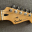 Fender Stratocaster Player Plus 3TS **VENDIDA EN WALLAPOP**