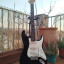 Fender stratocaster plus 1991/ Cambio por PRS 24 08