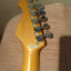 Fénix Stratocaster reservada