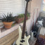Bajo y ampli