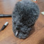 Micrófono Sony NV-1 con antiviento Rycote Softie