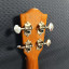 Ukelele Tanglewood Cove Creek TU9 Concierto
