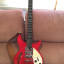 Bakers tipo Rickenbacker Reservada