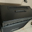 peavey 6534+