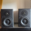 Dynaudio BM6a
