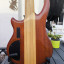 Alembic Essence 5 (1995)