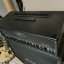 peavey 6534+