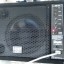 Monitor activo Laney CPX-110 (65W RMS /120W Peak)