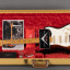 Fender Stratocaster 57 Relic Custom Order