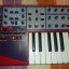 Clavia Nord lead 2X