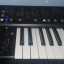 Behringer Deepmind 12 + regalos