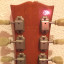 Gibson Les Paul Deluxe Goldtop 2005