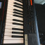 Roland XP-30