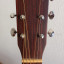 Guitarra Acústica Breedlove Passport D/MMe