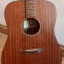 Guitarra Acústica Breedlove Passport D/MMe