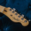 Fender American Pro 2019 Tele Butterscotch Blonde