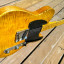 Fender Esquire 1952 (licencias fender)