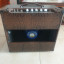 George Axefive por 65 Princeton reverb