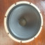 Celestion alnico Gold 10  - 8 Ohm