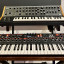 DSI Prophet 12 con case rigido.