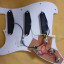 Golpeador tipo stratocaster