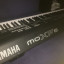 Yamaha moxf8