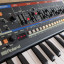 Roland Boutique JU-06A + teclado K-25M