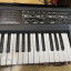 Roland D-50 con expansión M.ex de Musitronics