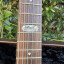 Musicman JP6 BFR