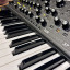 Moog Subsequent 37