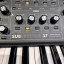 Moog Subsequent 37